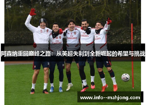 阿森纳重回巅峰之路：从英超失利到全新崛起的希望与挑战