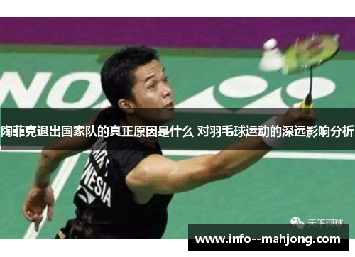 陶菲克退出国家队的真正原因是什么 对羽毛球运动的深远影响分析 陶菲克退出国家队的真正原因是什么 对羽毛球运动的深远影响分析
