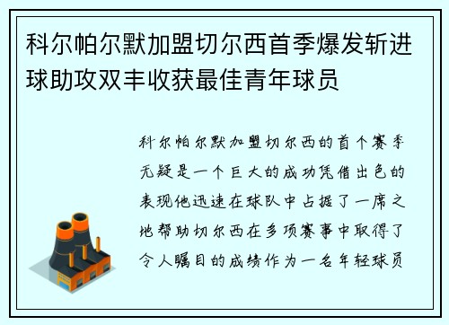 科尔帕尔默加盟切尔西首季爆发斩进球助攻双丰收获最佳青年球员